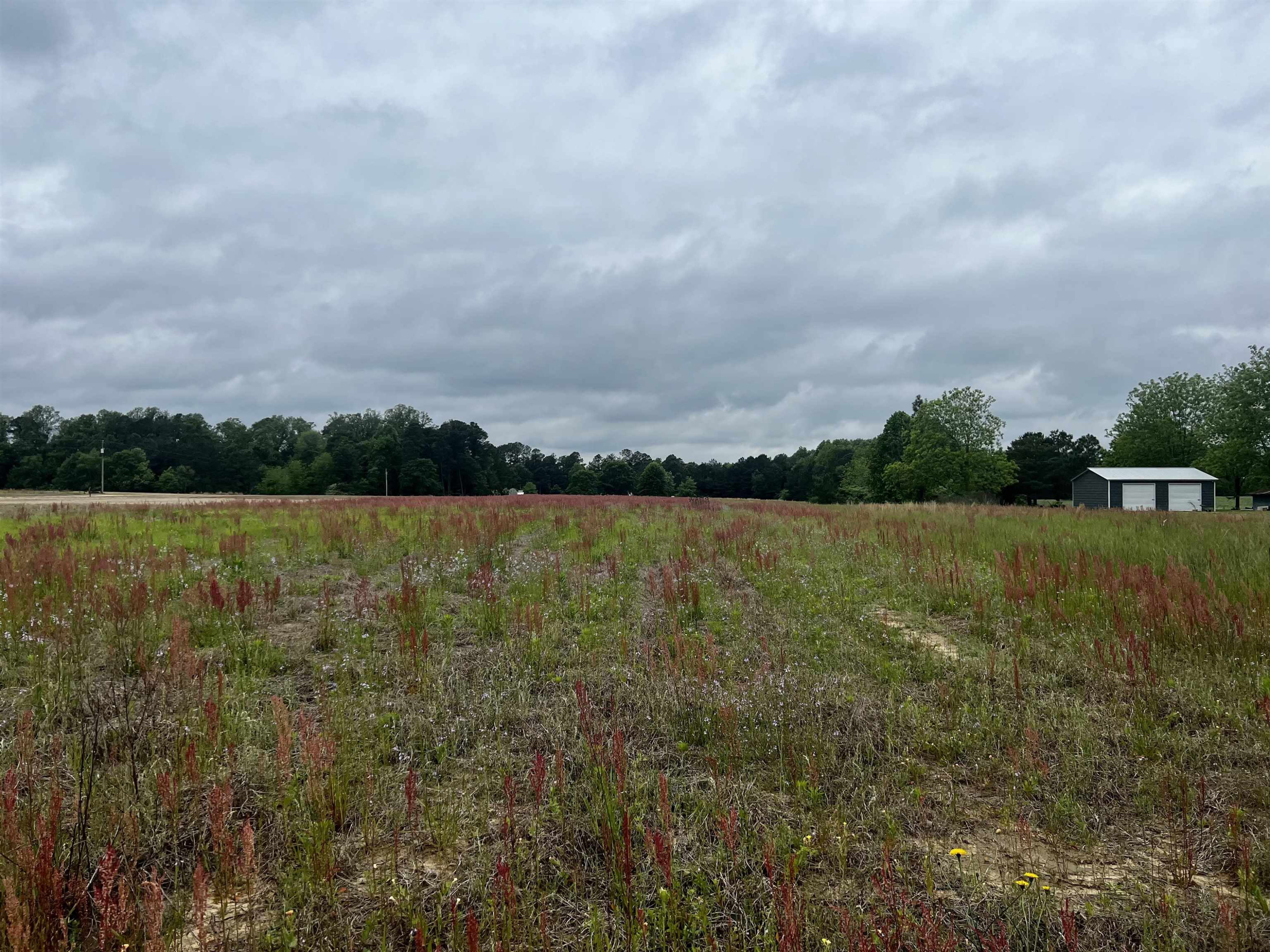 0 Joe Collins Road Lillington, NC 27546 - Photo 1 of 5 Photo 1