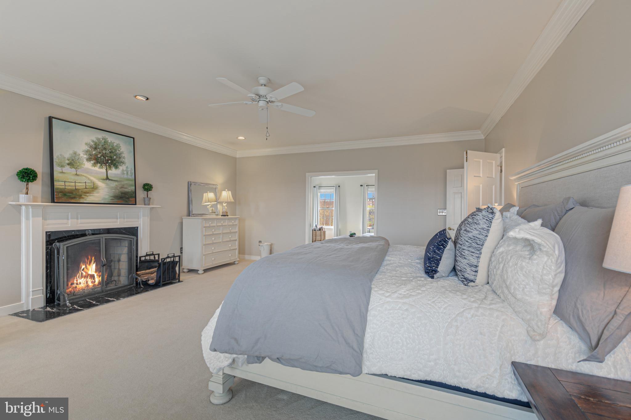 15140 Loyalty Road Waterford, VA 20197 - Photo 29 of 60 a bedroom with a bed and a fireplace