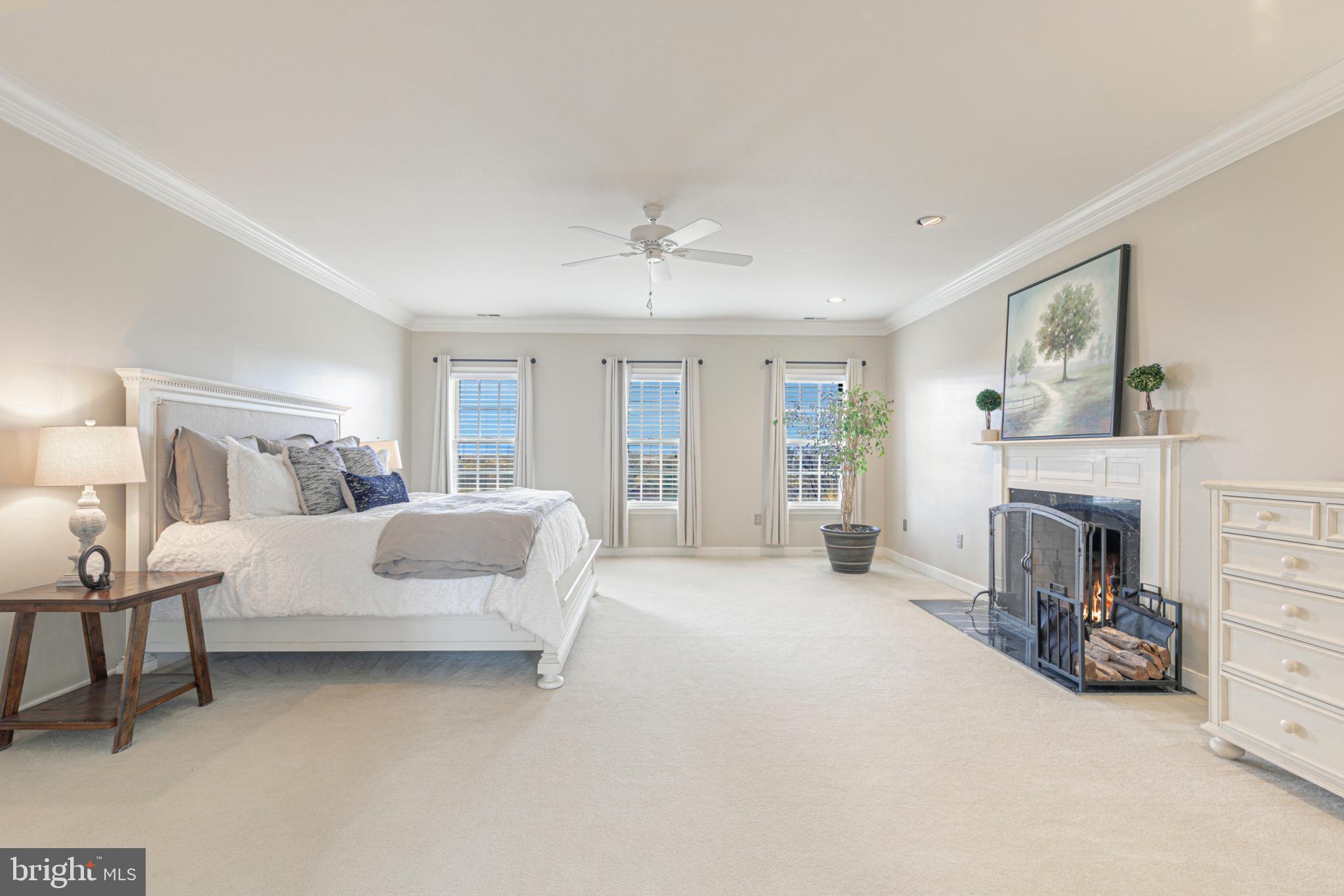 15140 Loyalty Road Waterford, VA 20197 - Photo 31 of 60 Luxurious upgraded carpeting