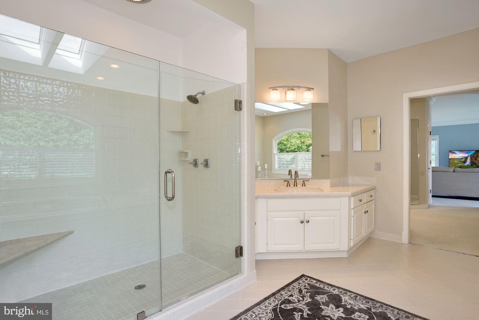 15140 Loyalty Road Waterford, VA 20197 - Photo 35 of 60 a spacious bathroom with a granite countertop sink a mirror and a shower