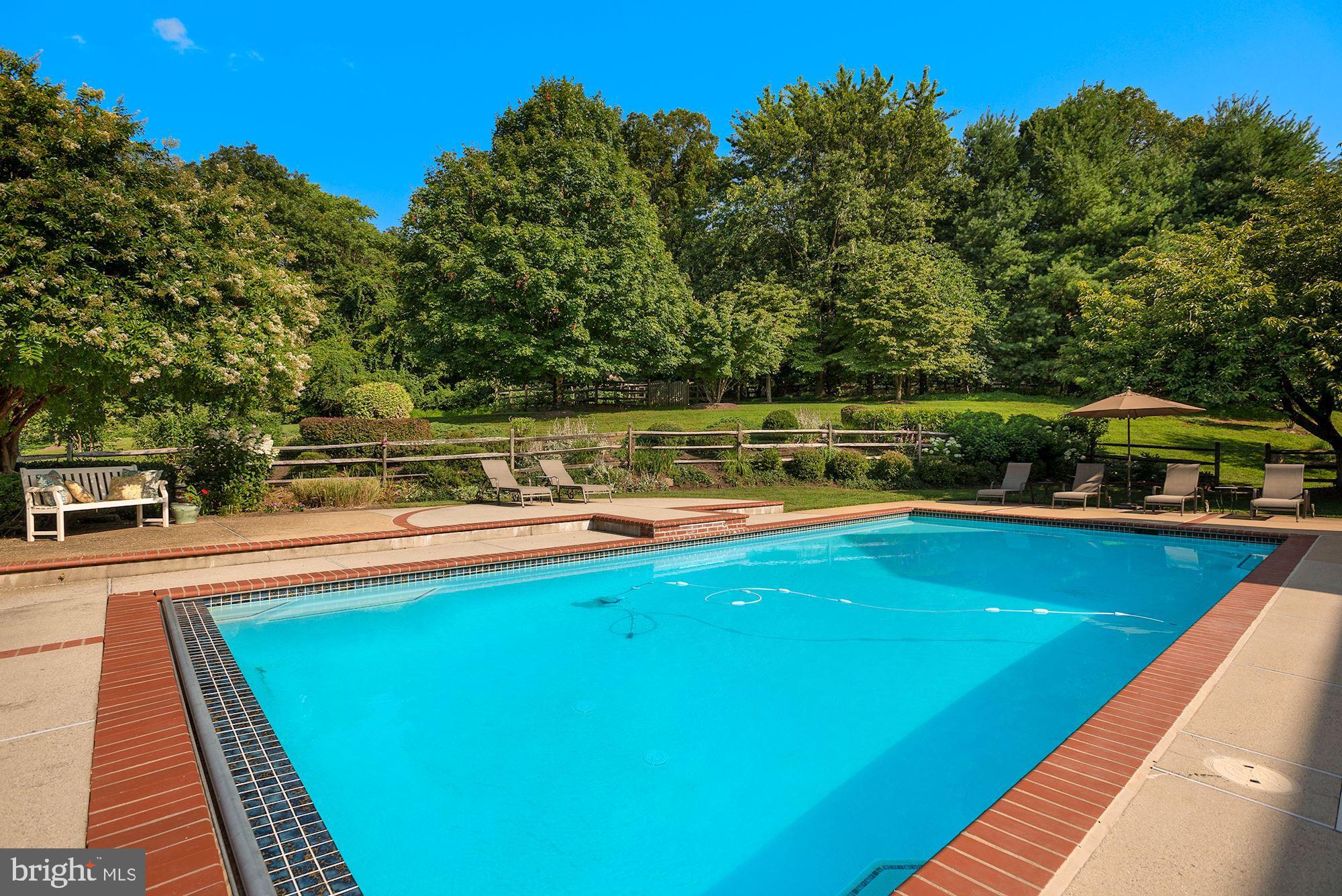 15140 Loyalty Road Waterford, VA 20197 - Photo 54 of 60 a view of a swimming pool with lawn chairs under an umbrella