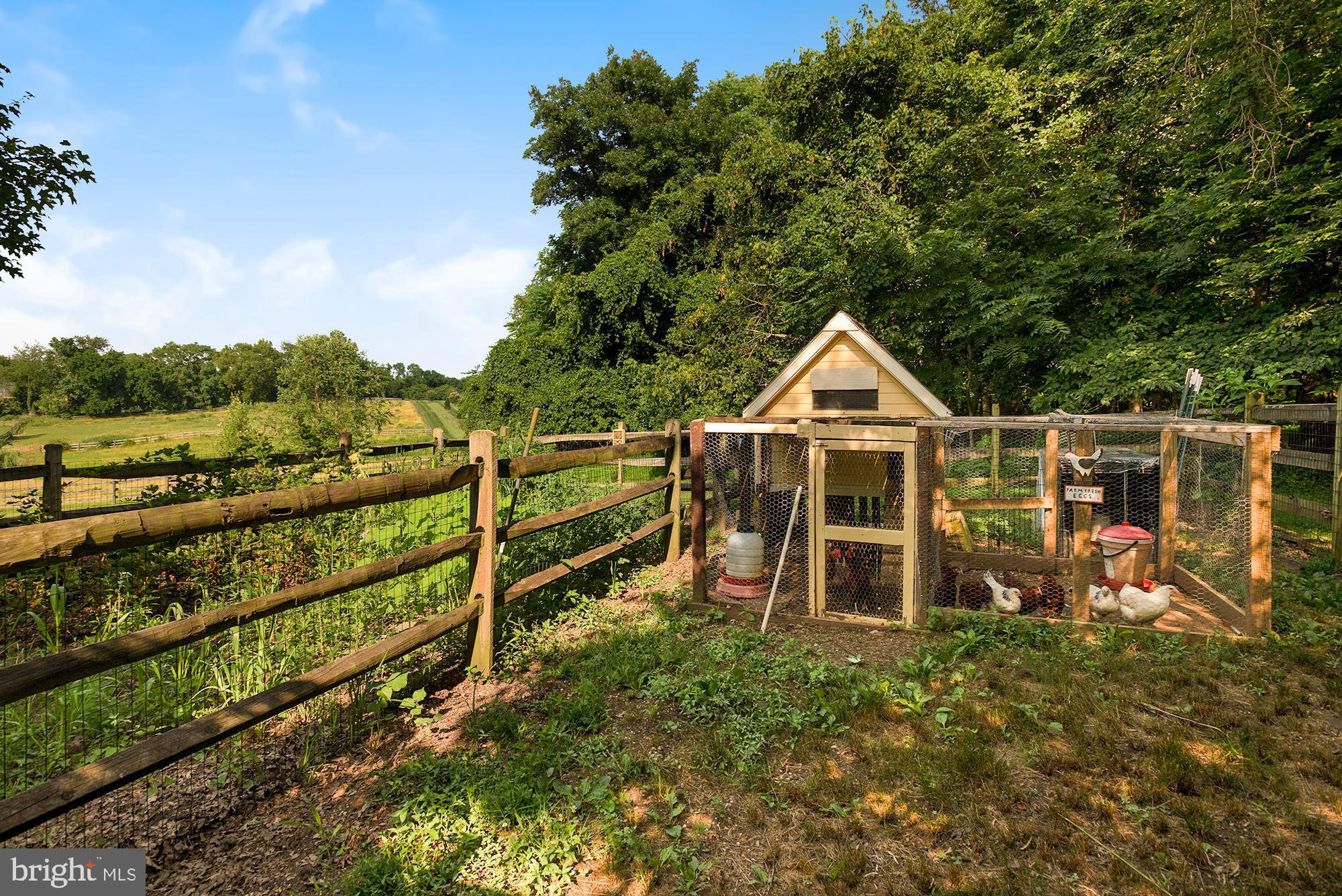 15140 Loyalty Road Waterford, VA 20197 - Photo 56 of 60 a view of a wooden house with a yard and wooden fence