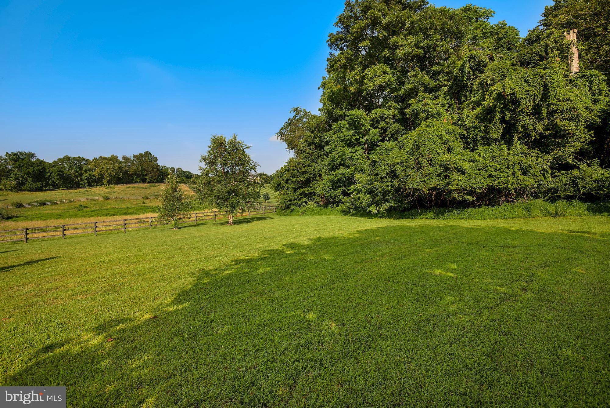 15140 Loyalty Road Waterford, VA 20197 - Photo 57 of 60 a view of an ocean from a yard
