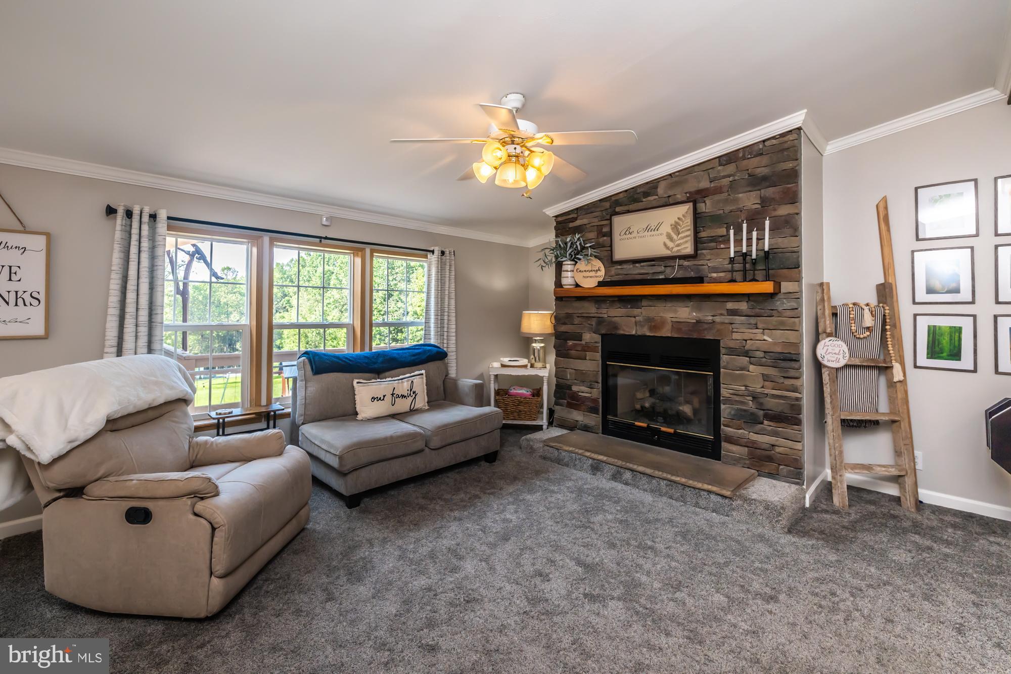 239 Quarry Road Gap, PA 17527 - Photo 22 of 48 a living room with furniture a window and a fireplace