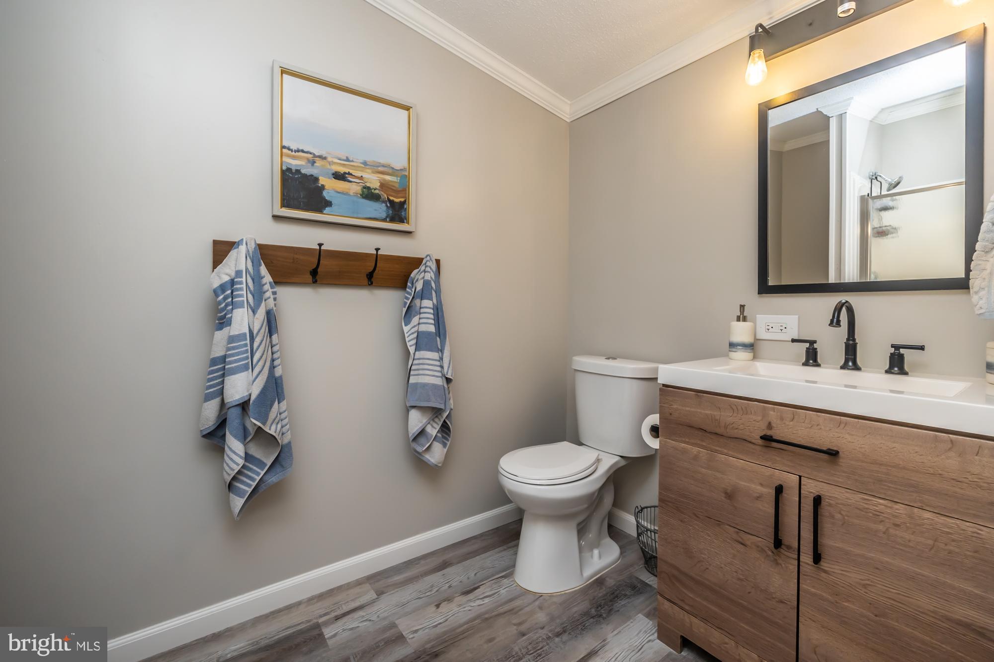 239 Quarry Road Gap, PA 17527 - Photo 30 of 48 a bathroom with a sink toilet and mirror