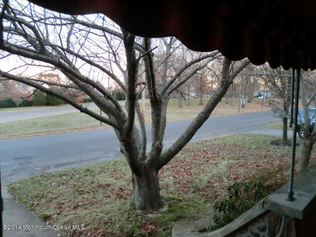 423 Church Street Spring Lake, NJ 07762 - Photo 18 of 20 CIMG0369