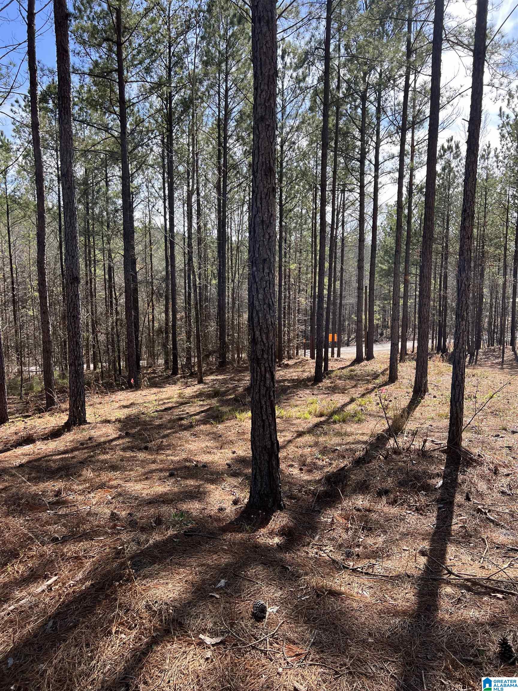 780 Sweet Apple Road, Unit 1 Pell City, AL 35128 - Photo 7 of 9