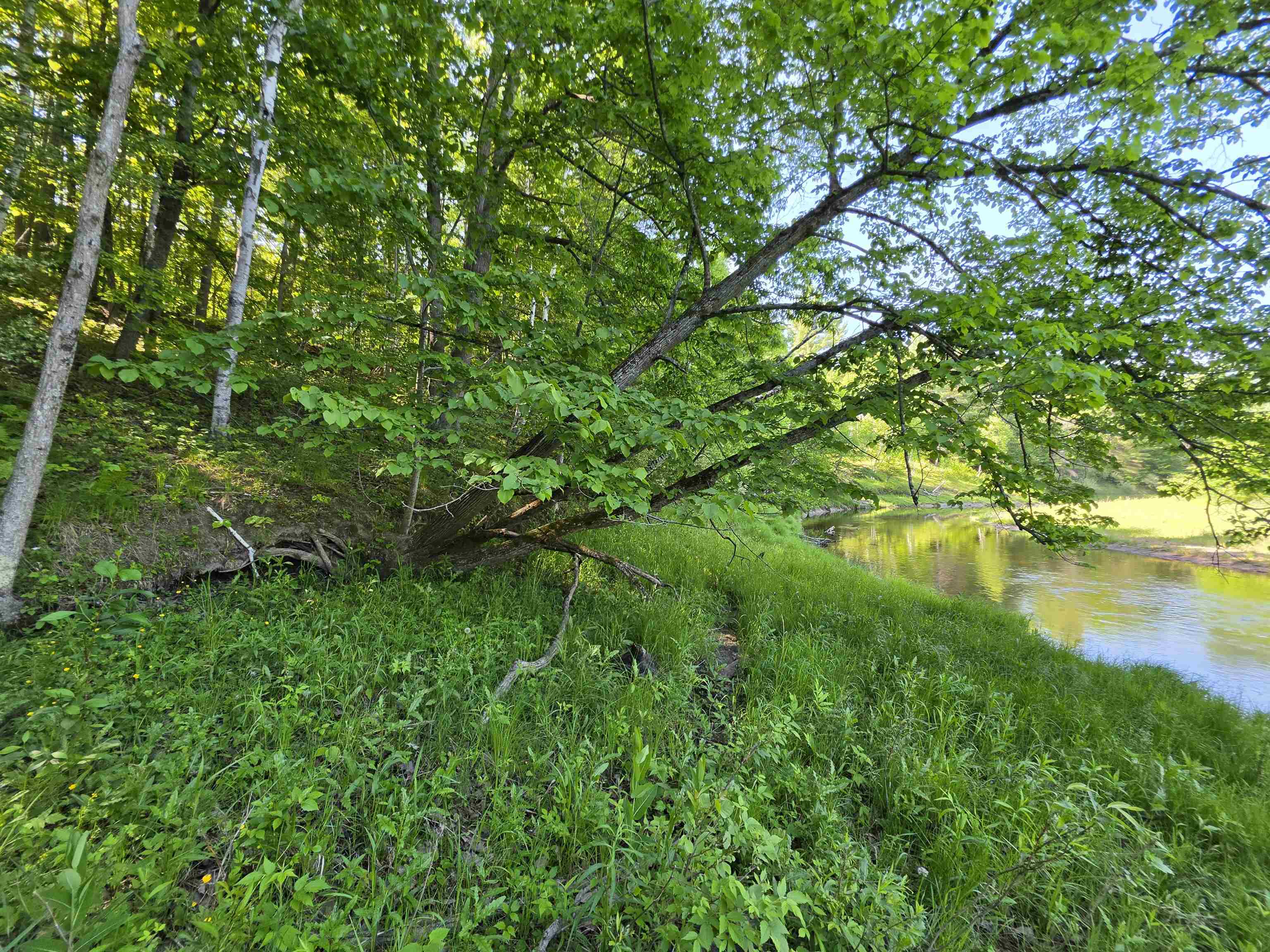 Tbd North Lakeshore Road Gladwin, MI 48624 - Photo 18 of 33