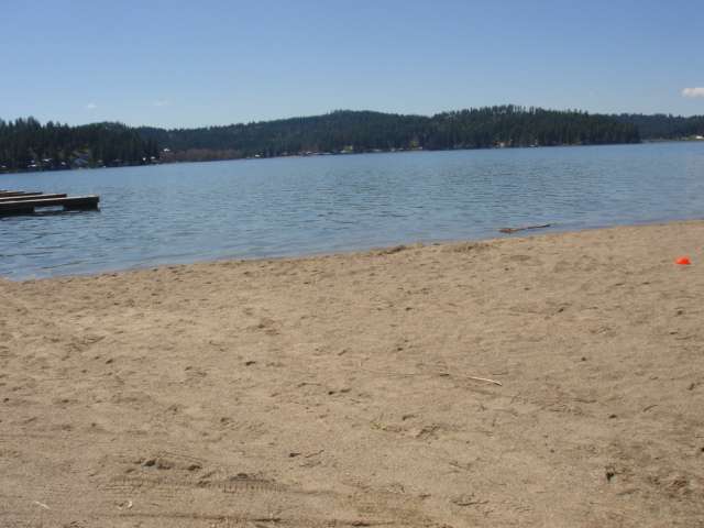 40423 Lynn Road Loon Lake, WA 99148 - Photo 8 of 8 Gallery Image 8