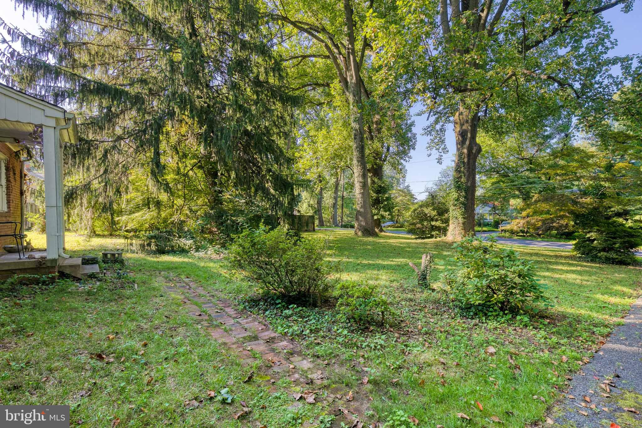 11423 Mapleview Drive Silver Spring, MD 20902 - Photo 5 of 14