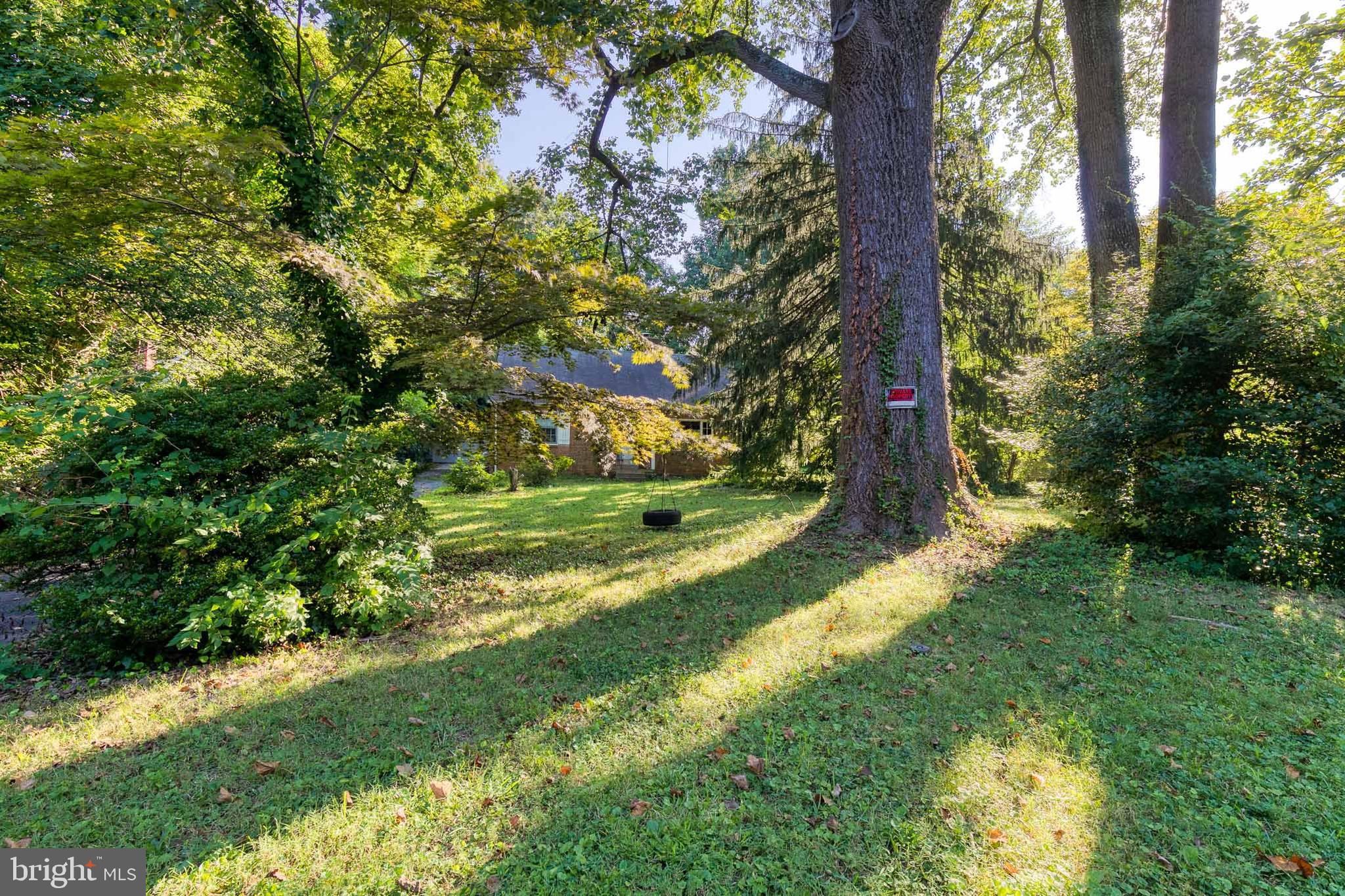 11423 Mapleview Drive Silver Spring, MD 20902 - Photo 6 of 14