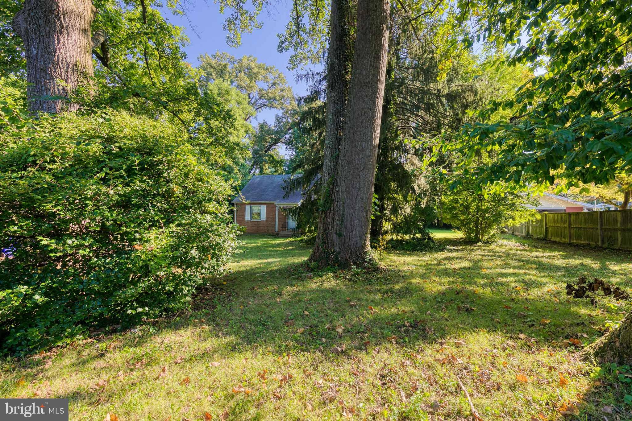 11423 Mapleview Drive Silver Spring, MD 20902 - Photo 7 of 14