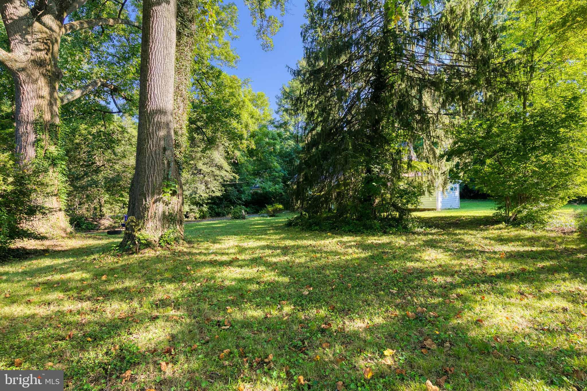 11423 Mapleview Drive Silver Spring, MD 20902 - Photo 8 of 14