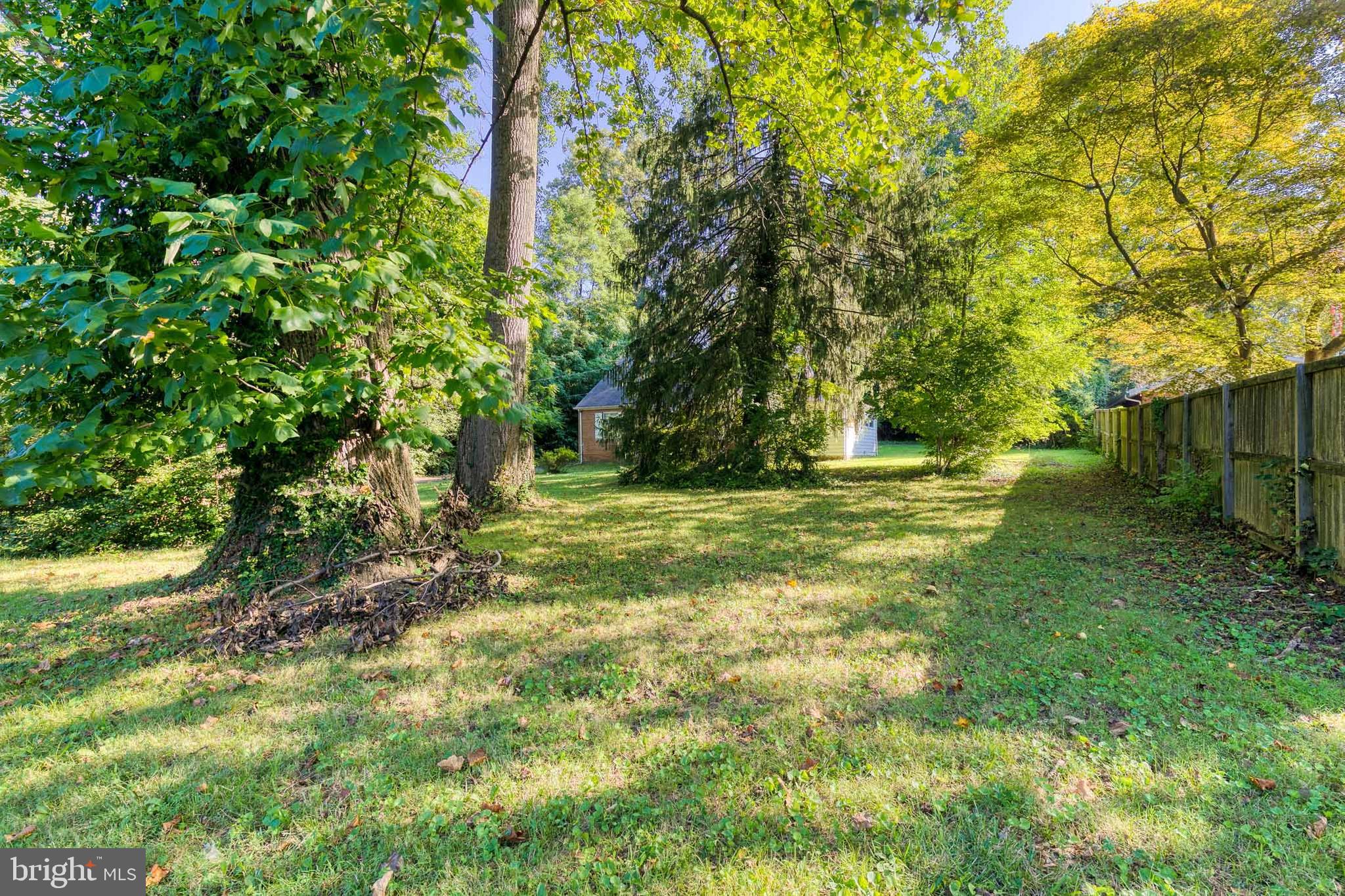 11423 Mapleview Drive Silver Spring, MD 20902 - Photo 9 of 14