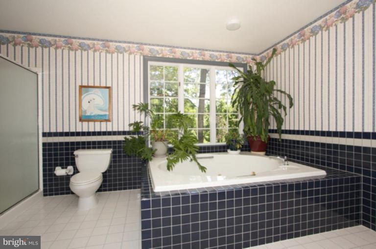 3220 Dry Branch Road White Hall, MD 21161 - Photo 19 of 23 Master Bath