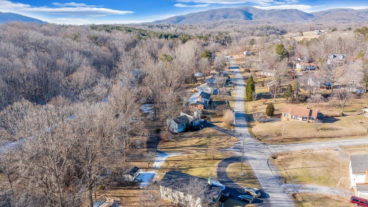 219 Longwood Lane Blue Ridge, VA 24064 - Photo 54 of 64 54-DJI_20250120152905_0029_D_MIB