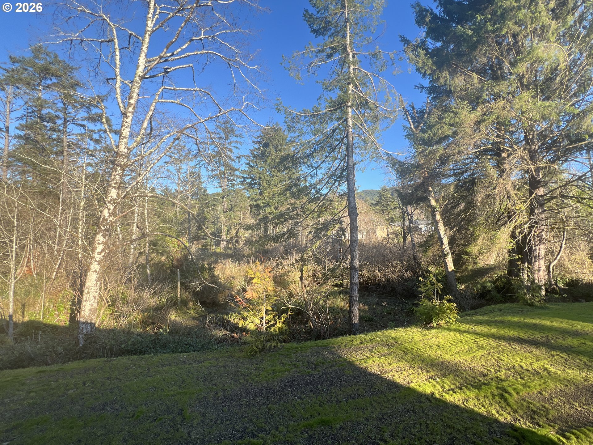 352 North Falcon Street Rockaway Beach, OR 97136 - Photo 28 of 32 a backyard of a house with lots of green space