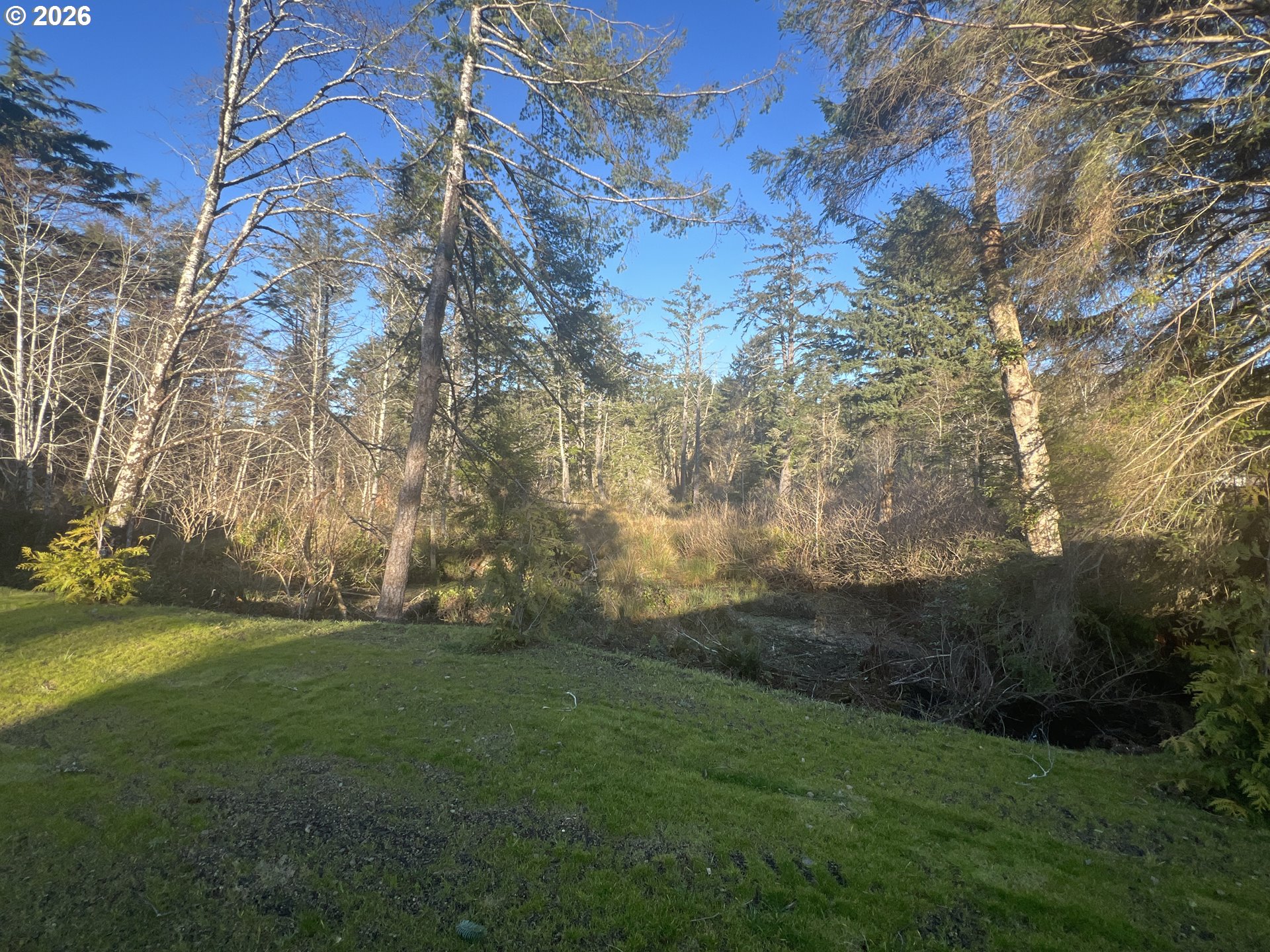 352 North Falcon Street Rockaway Beach, OR 97136 - Photo 29 of 32 a view of yard with trees