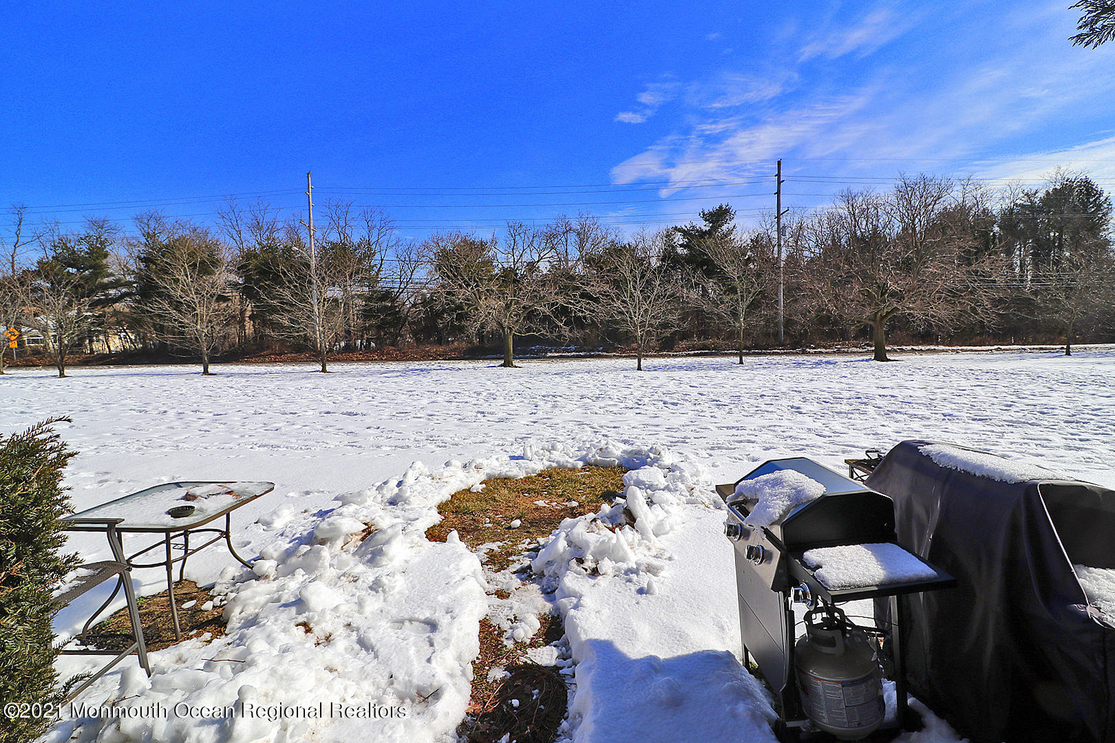 347 Sawmill Road, Unit 34 Brick, NJ 08724 - Photo 17 of 17 IMG_0029 copy
