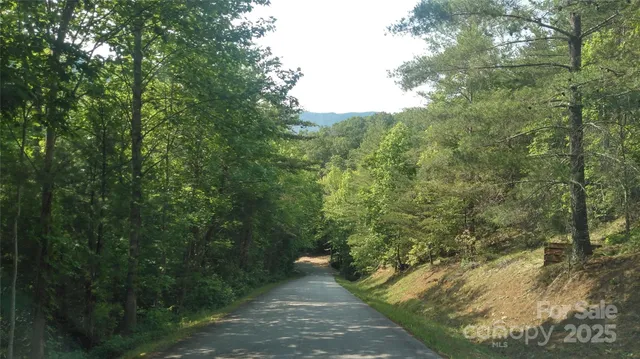 a view of a forest with trees in front of it