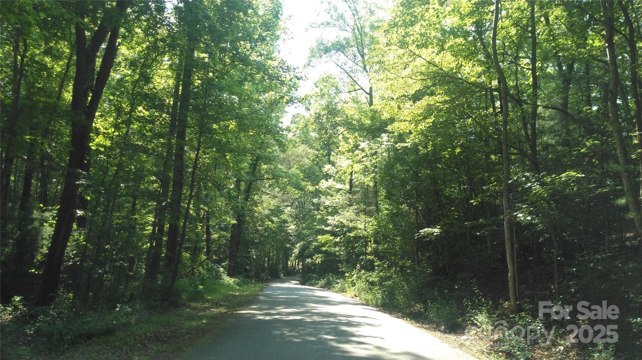Lot 17 Deer Ridge Trail Marion, NC 28752 - Photo 8 of 8 a view of a forest