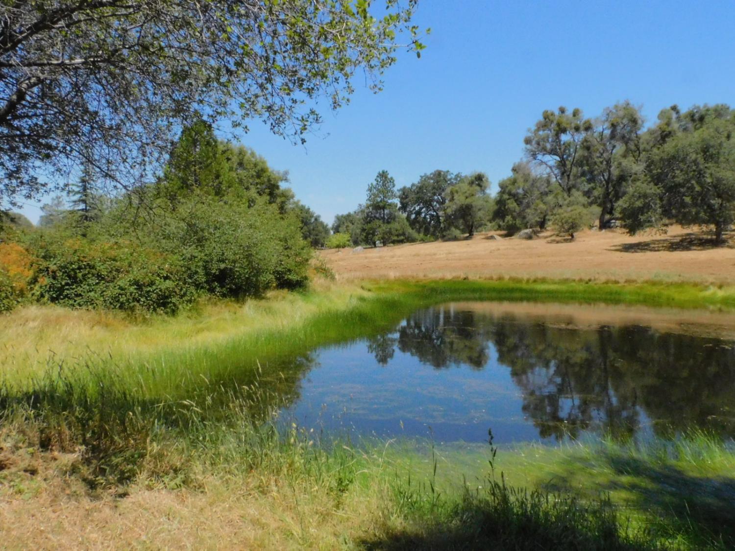5383 Dream Ranch Circle Placerville, CA 95667 - Photo 95 of 99