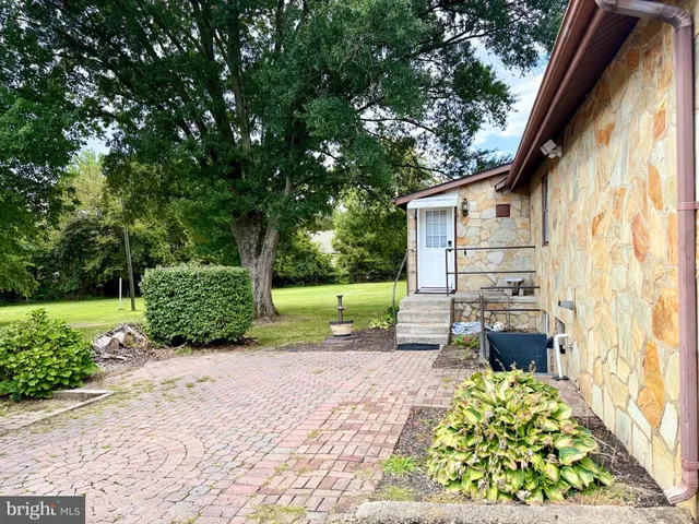 a view of backyard with a garden and plants