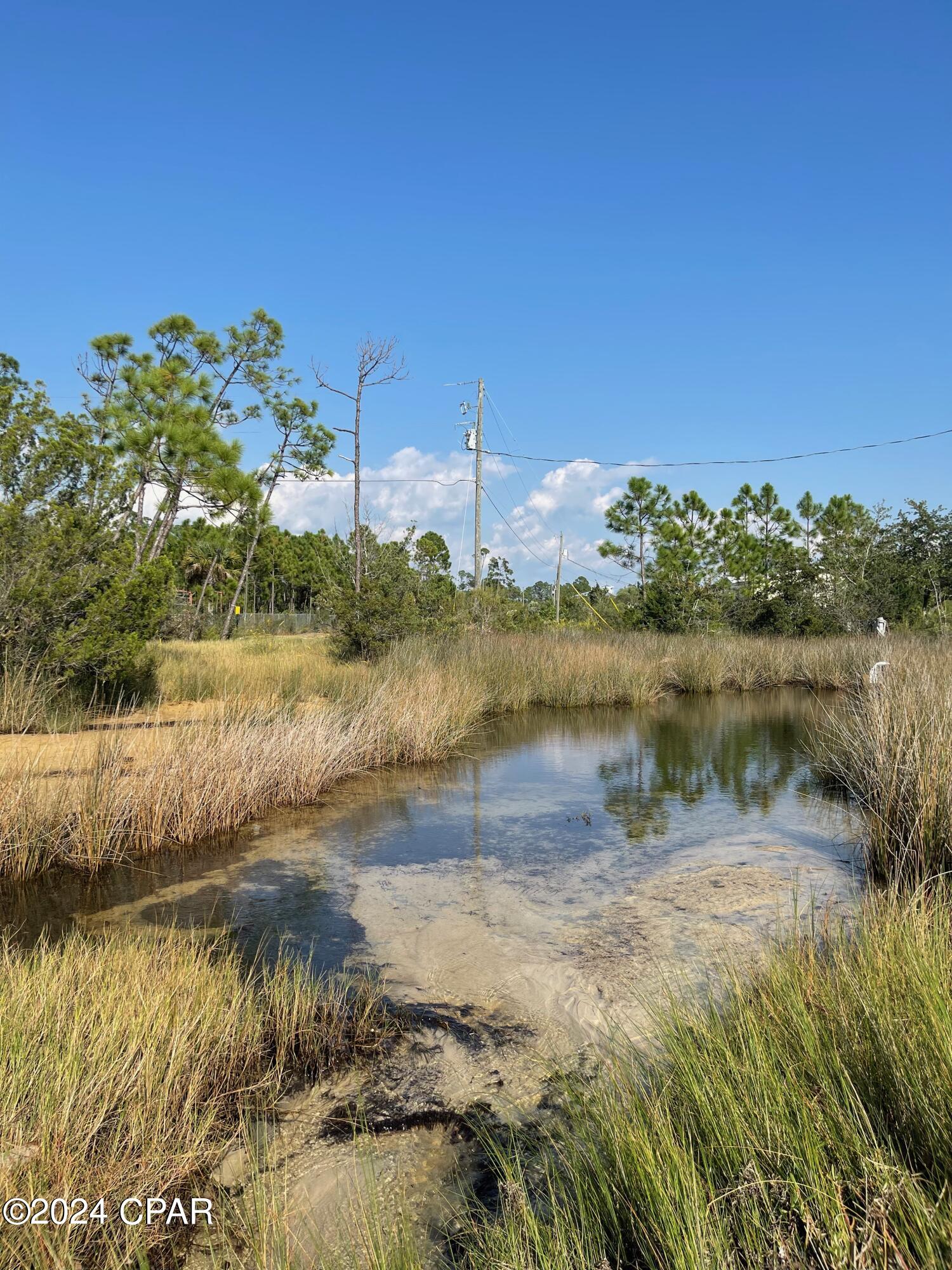 Tbd Elma Ruth Drive Southport, FL 32409 - Photo 20 of 23
