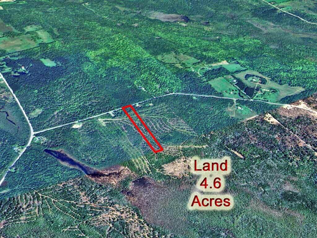 Lot 27 Brewer Road Orient, ME 04471 - Photo 11 of 36 land-cary-maine-acreage