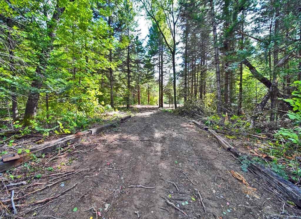 Lot 27 Brewer Road Orient, ME 04471 - Photo 12 of 36 maine-land-low-price