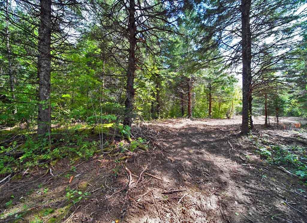 Lot 27 Brewer Road Orient, ME 04471 - Photo 14 of 36 maine-land-build-camp-home