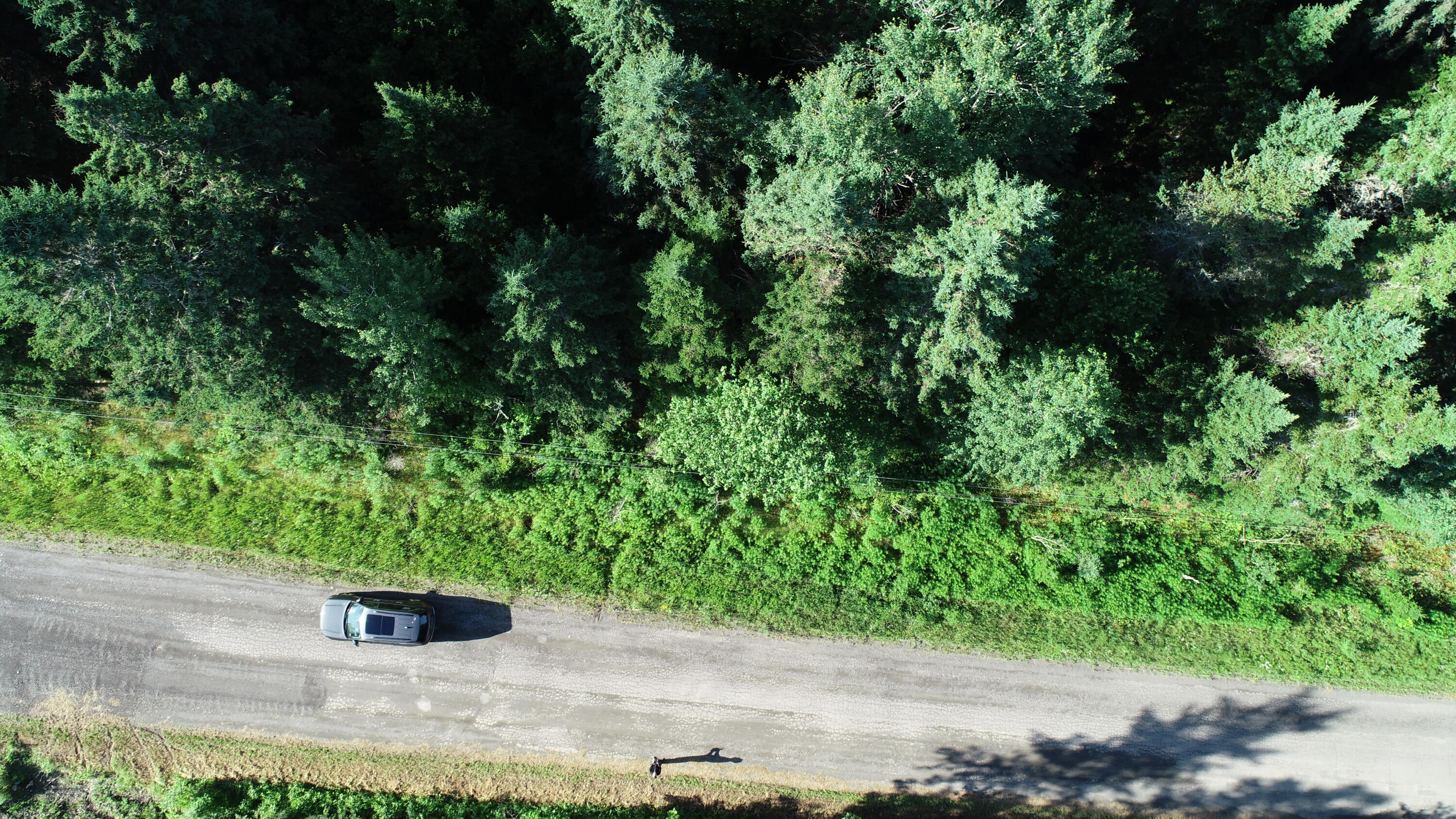 Lot 27 Brewer Road Orient, ME 04471 - Photo 16 of 36 DJI_0077