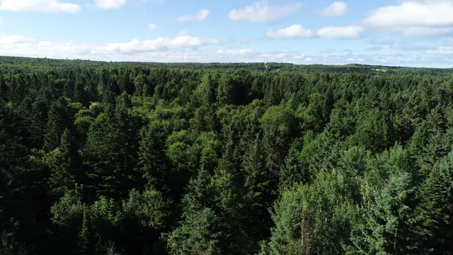 $25,900 | Lot 27 Brewer Road, Orient, ME 04471