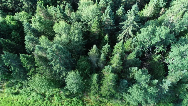 $25,900 | Lot 27 Brewer Road, Orient, ME 04471