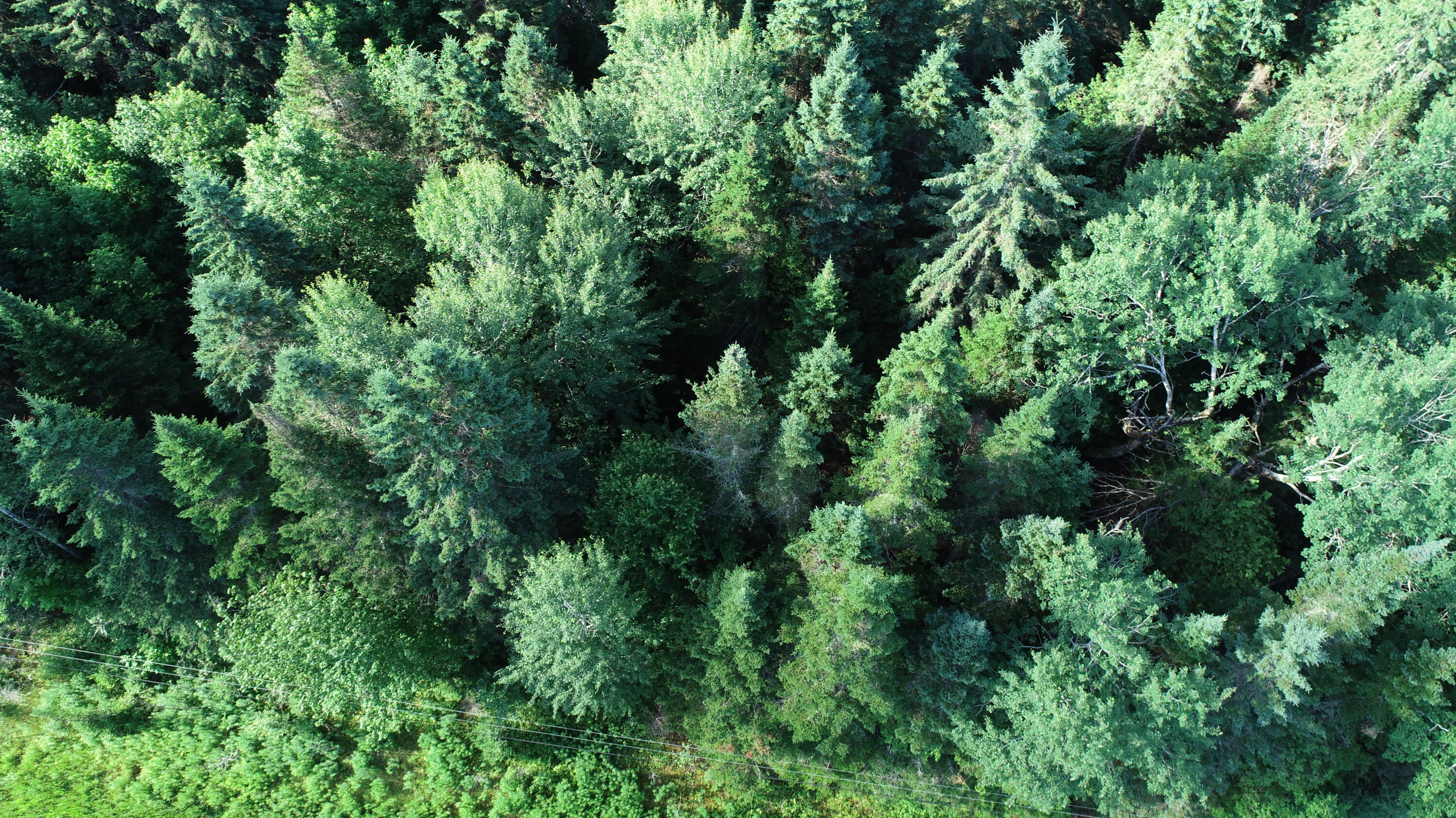 Lot 27 Brewer Road Orient, ME 04471 - Photo 18 of 36 DJI_0080