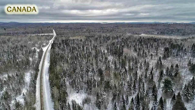 $25,900 | Lot 27 Brewer Road, Orient, ME 04471