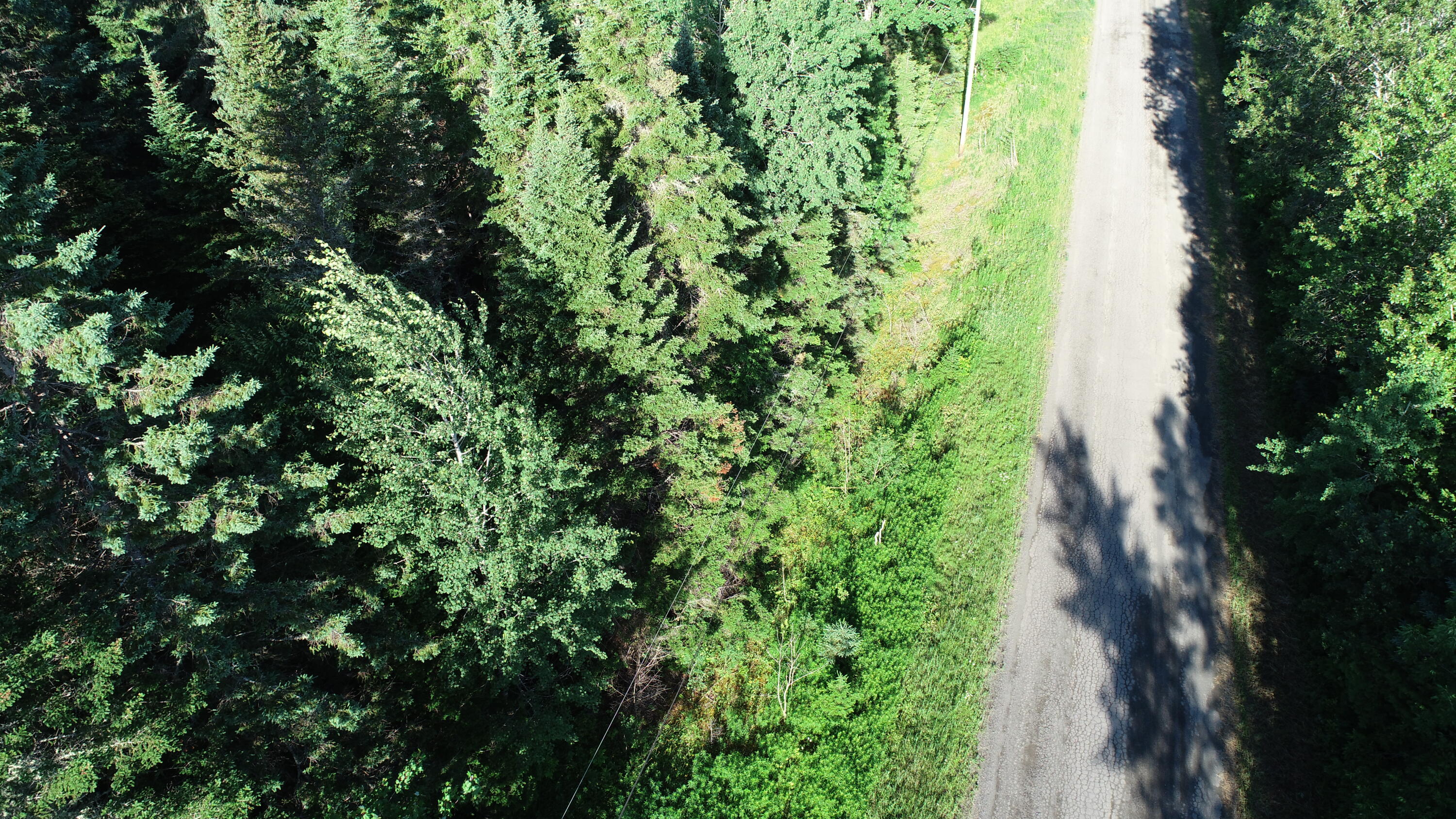 Lot 27 Brewer Road Orient, ME 04471 - Photo 23 of 36 DJI_0067