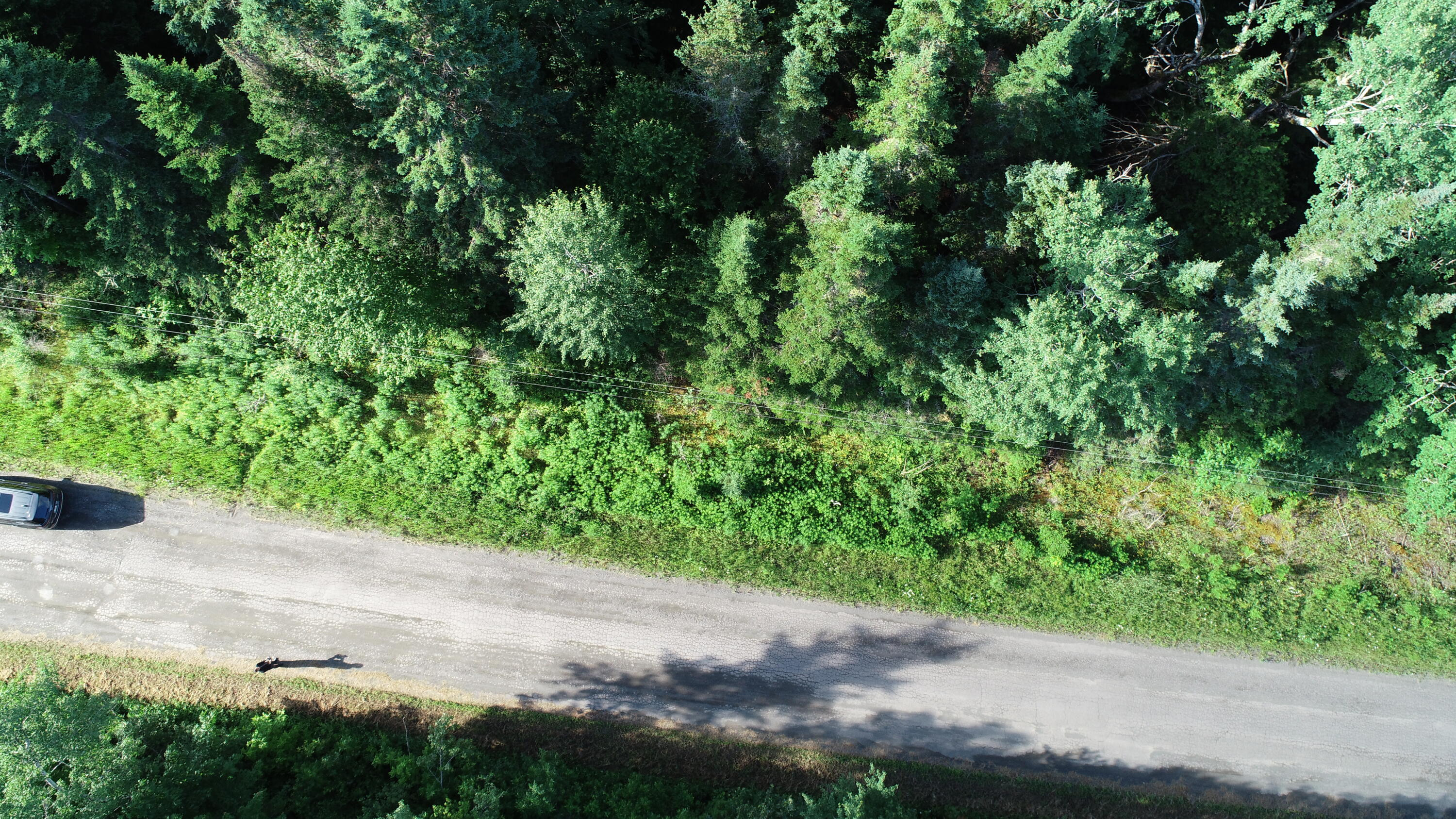 Lot 27 Brewer Road Orient, ME 04471 - Photo 24 of 36 DJI_0079