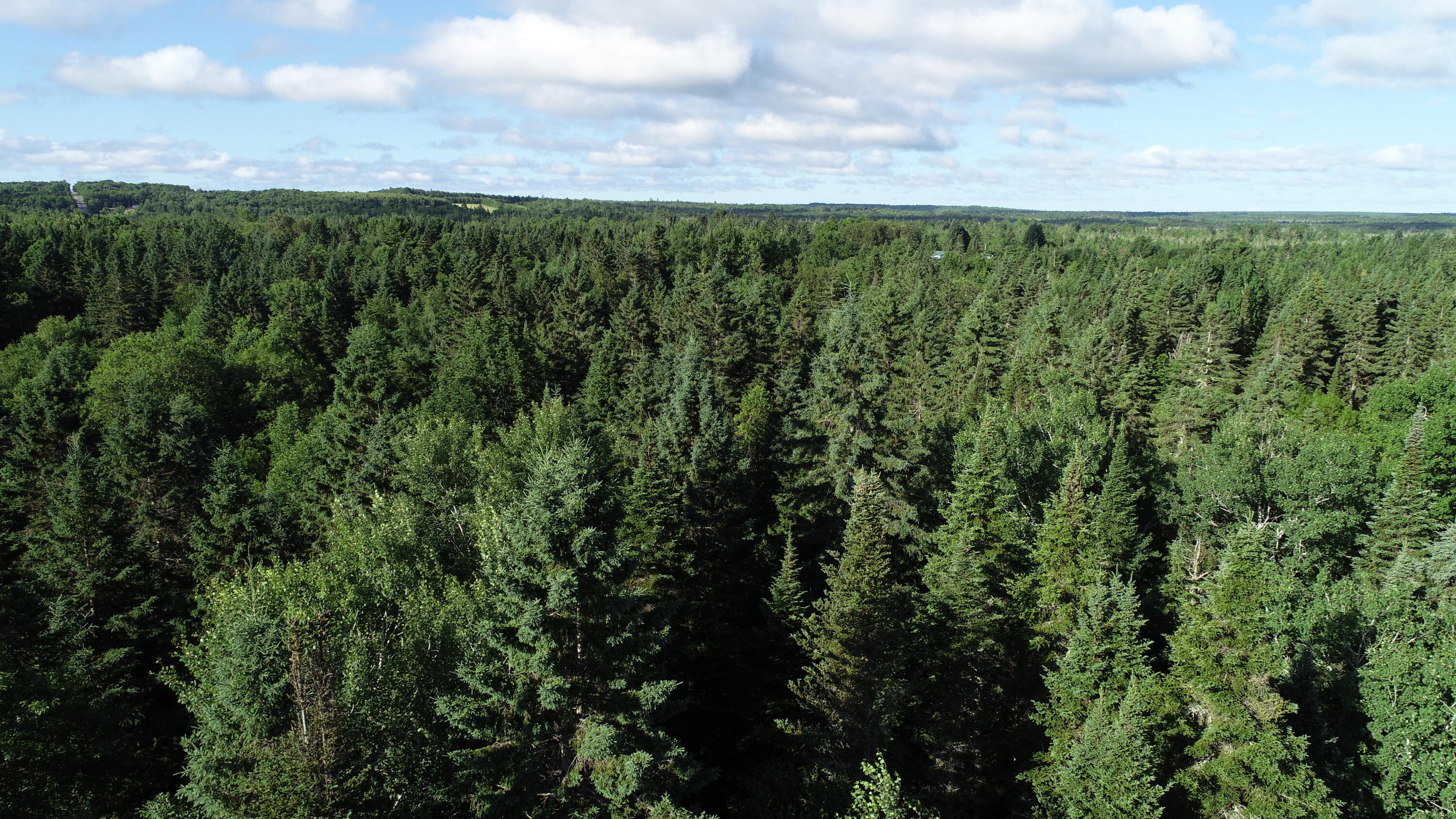 Lot 27 Brewer Road Orient, ME 04471 - Photo 25 of 36 DJI_0063