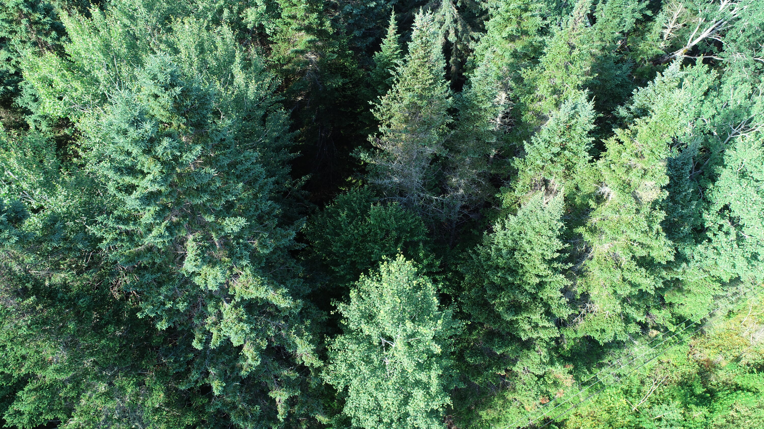 Lot 27 Brewer Road Orient, ME 04471 - Photo 26 of 36 DJI_0070