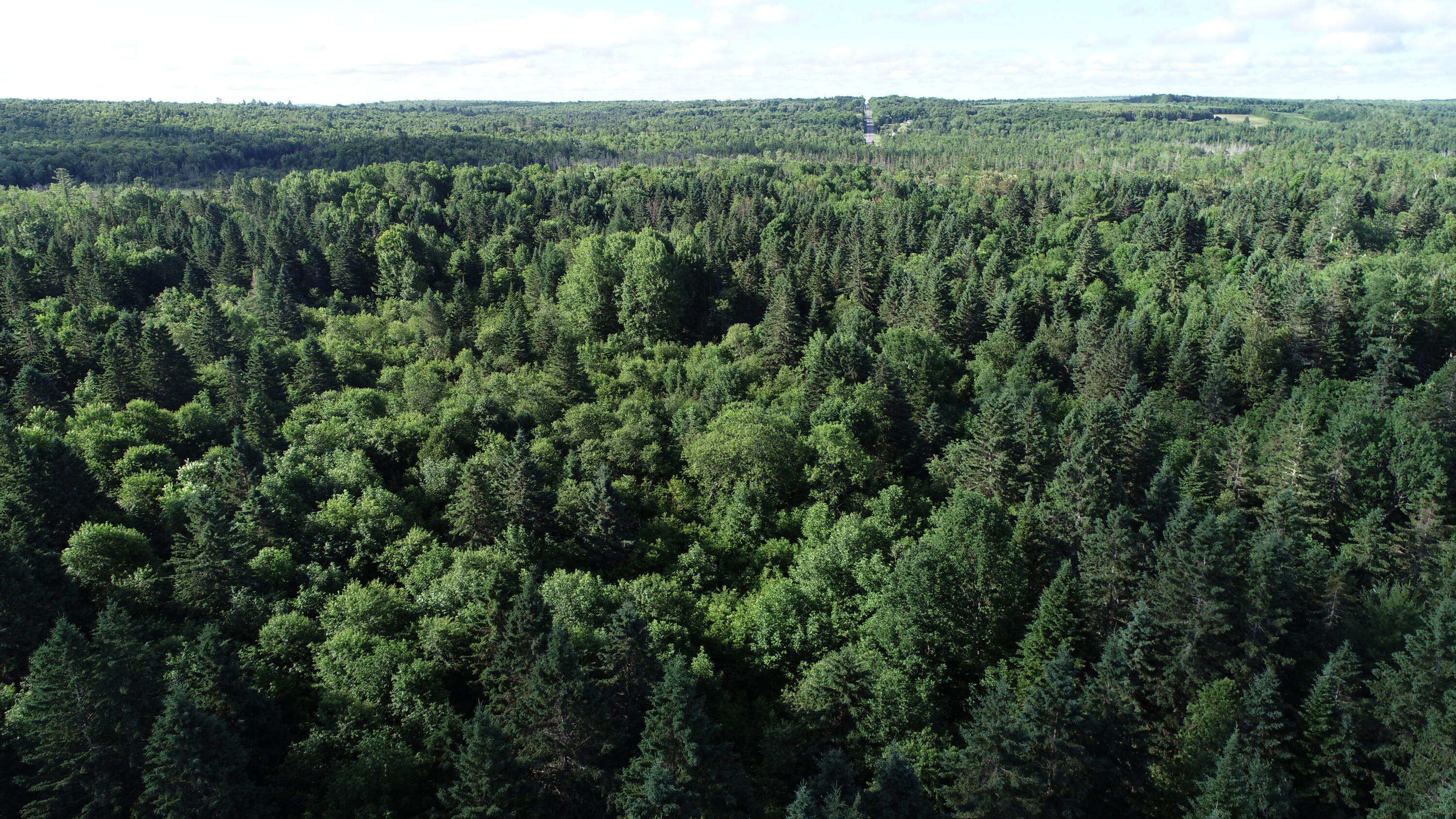 Lot 27 Brewer Road Orient, ME 04471 - Photo 28 of 36 DJI_0082