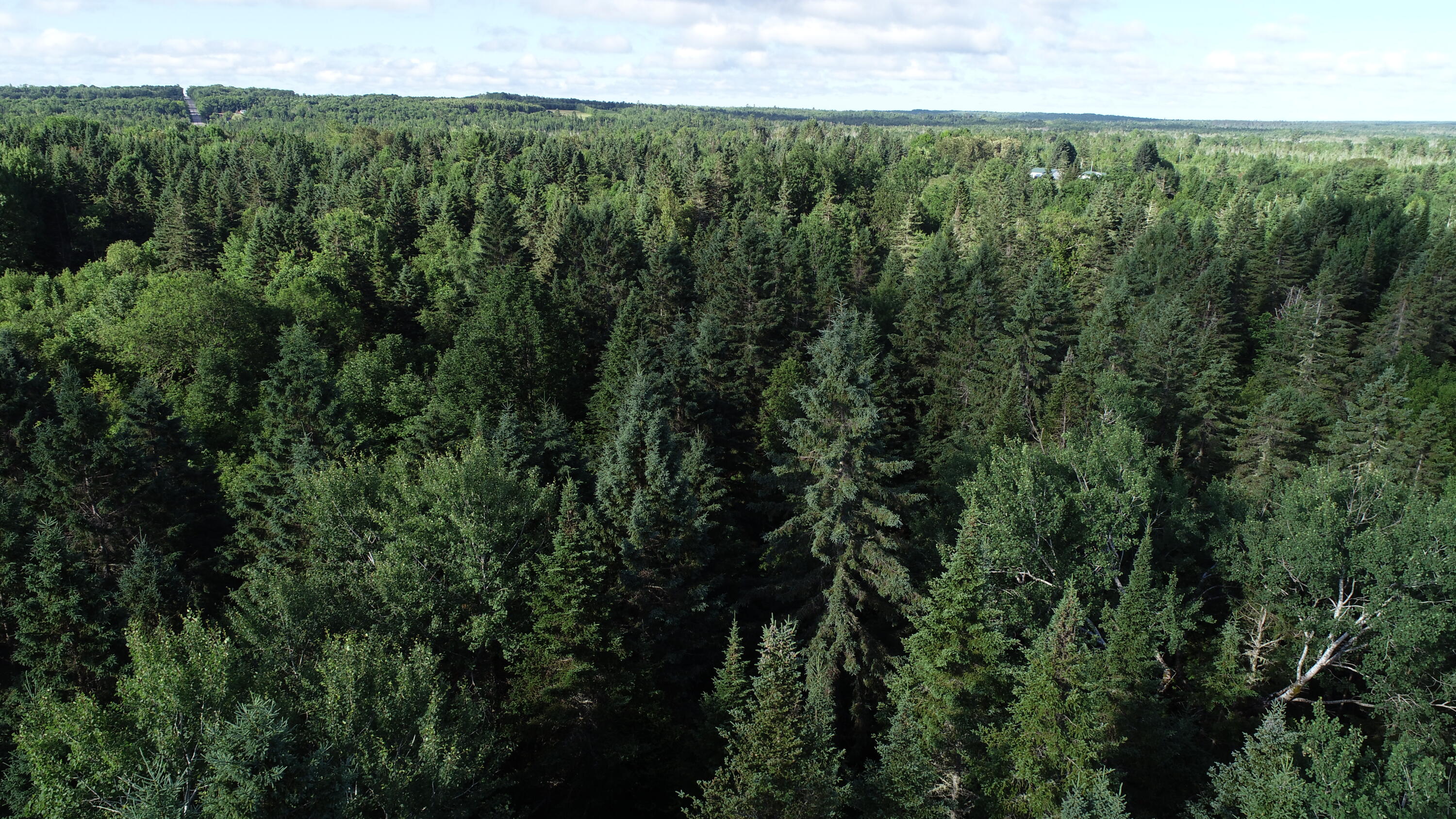 Lot 27 Brewer Road Orient, ME 04471 - Photo 29 of 36 DJI_0071