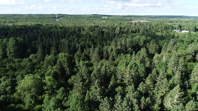 $25,900 | Lot 27 Brewer Road, Orient, ME 04471