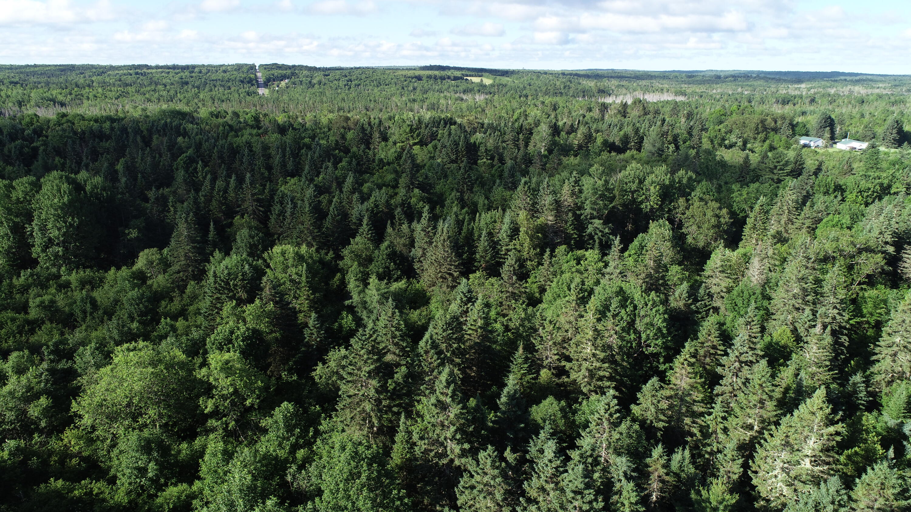 Lot 27 Brewer Road Orient, ME 04471 - Photo 30 of 36 DJI_0074