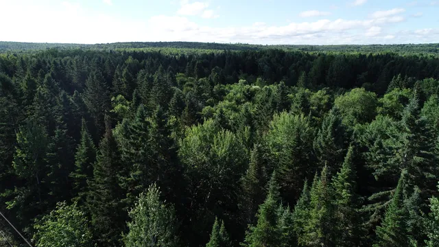 $25,900 | Lot 27 Brewer Road, Orient, ME 04471