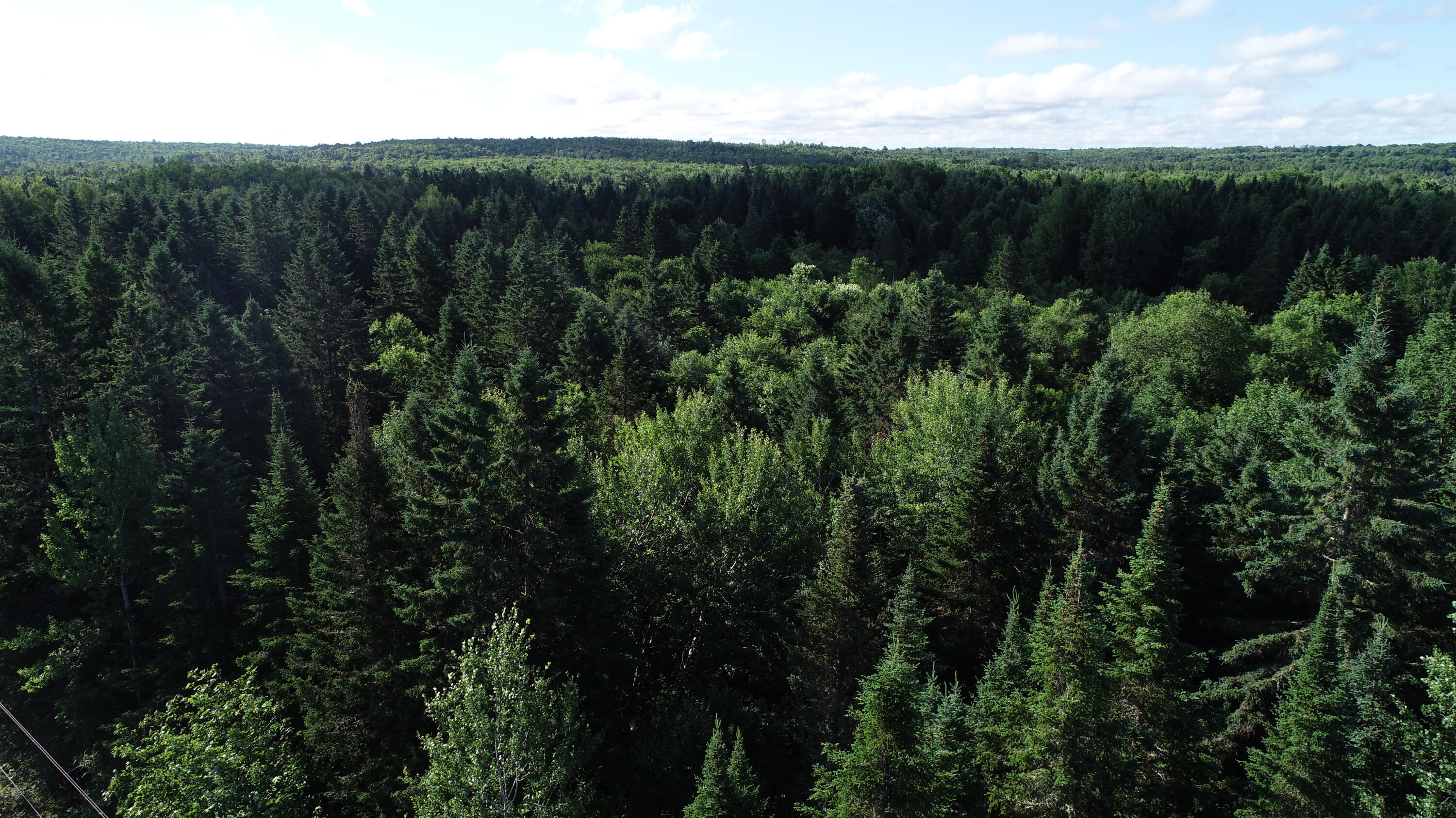 Lot 27 Brewer Road Orient, ME 04471 - Photo 31 of 36 DJI_0085