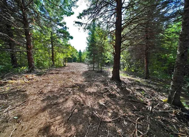 $25,900 | Lot 27 Brewer Road, Orient, ME 04471