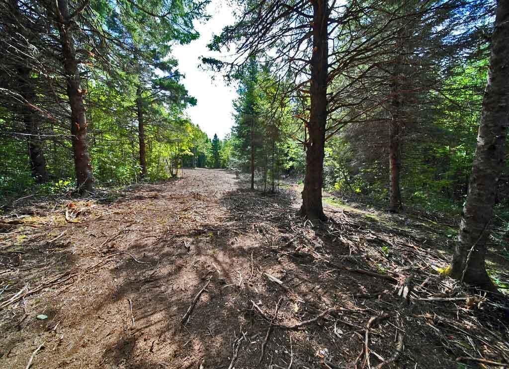 Lot 27 Brewer Road Orient, ME 04471 - Photo 6 of 36 maine-land-get-off-road