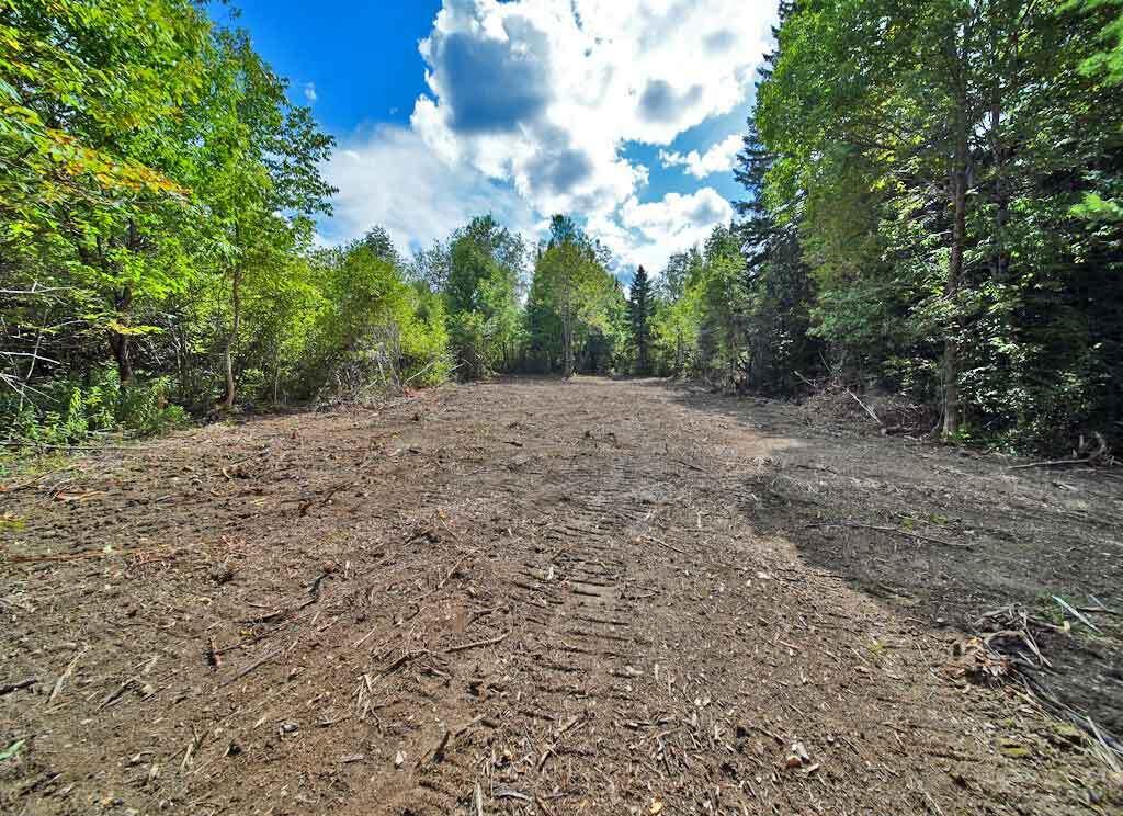Lot 27 Brewer Road Orient, ME 04471 - Photo 7 of 36 maine-land-near-lakes