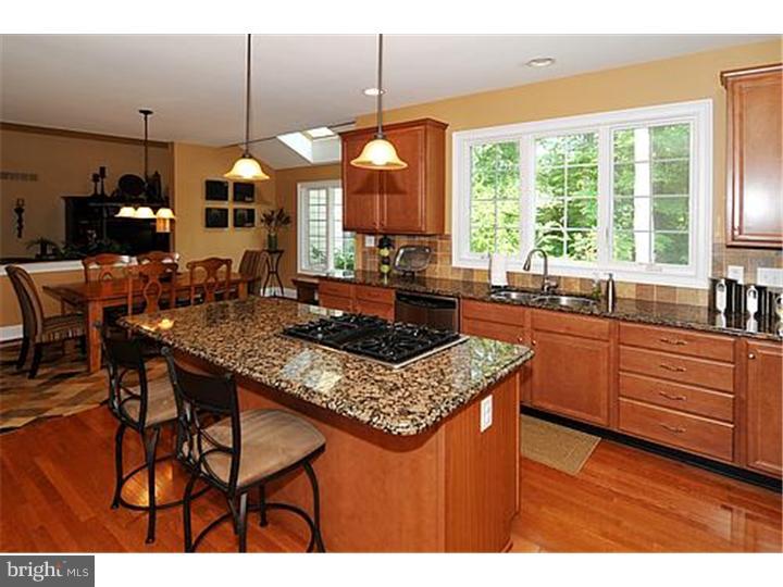 2177 Hawthorne Road New Hope, PA 18938 - Photo 10 of 25 Kitchen